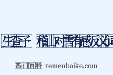 生查子·稽山对雪有感反义词是什么意思的图片